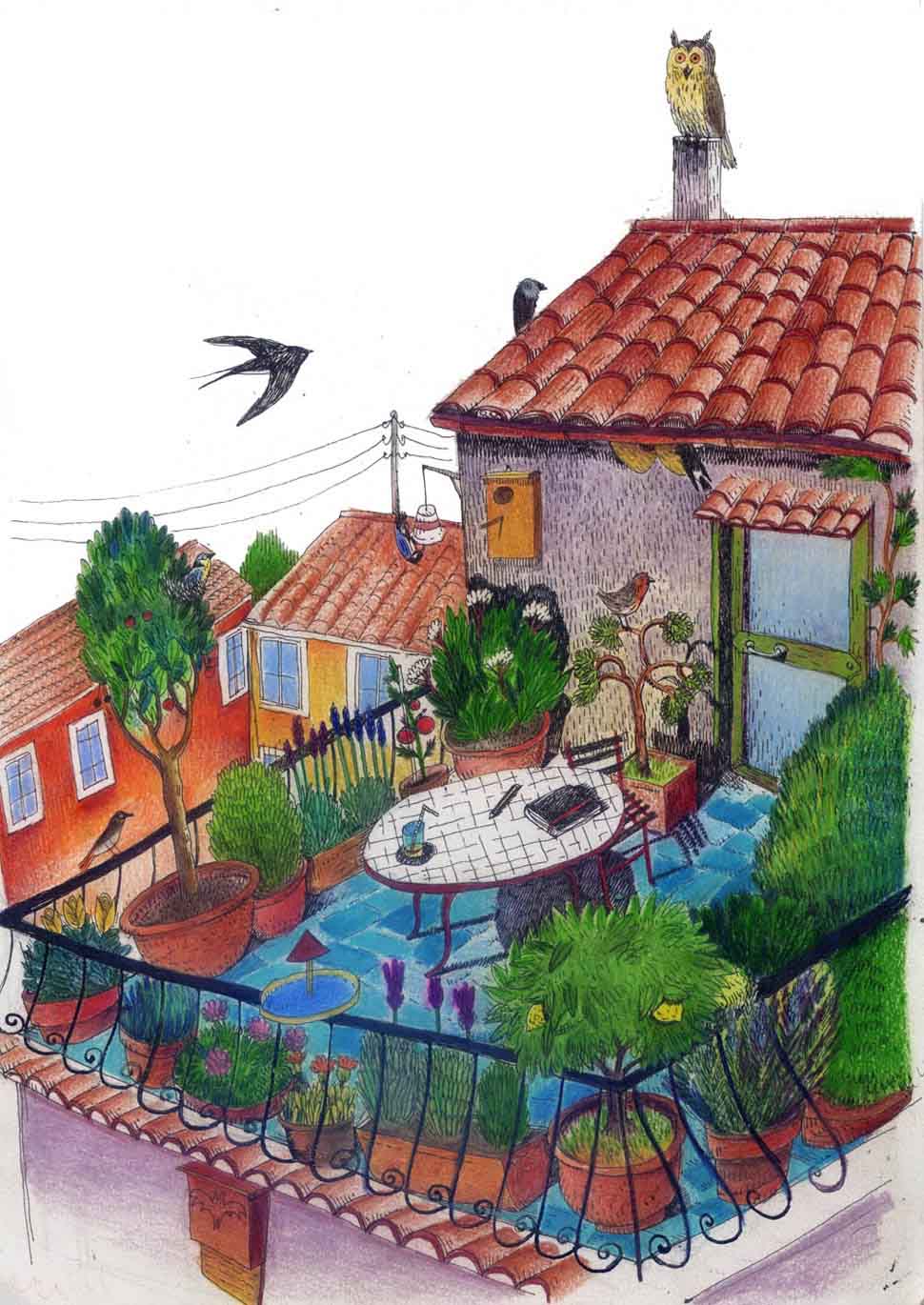 giardino-terrazzo-bird-garden
