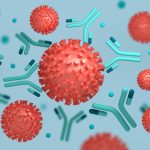 coronavirus anticorpi monoclonali