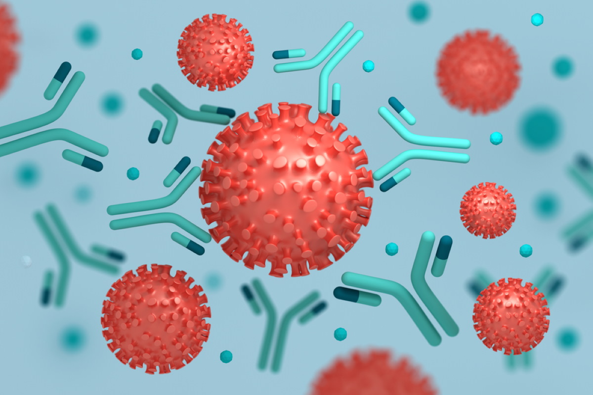 coronavirus anticorpi monoclonali