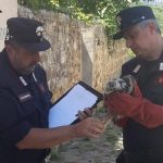 Carabinieri CITES Bracconaggio