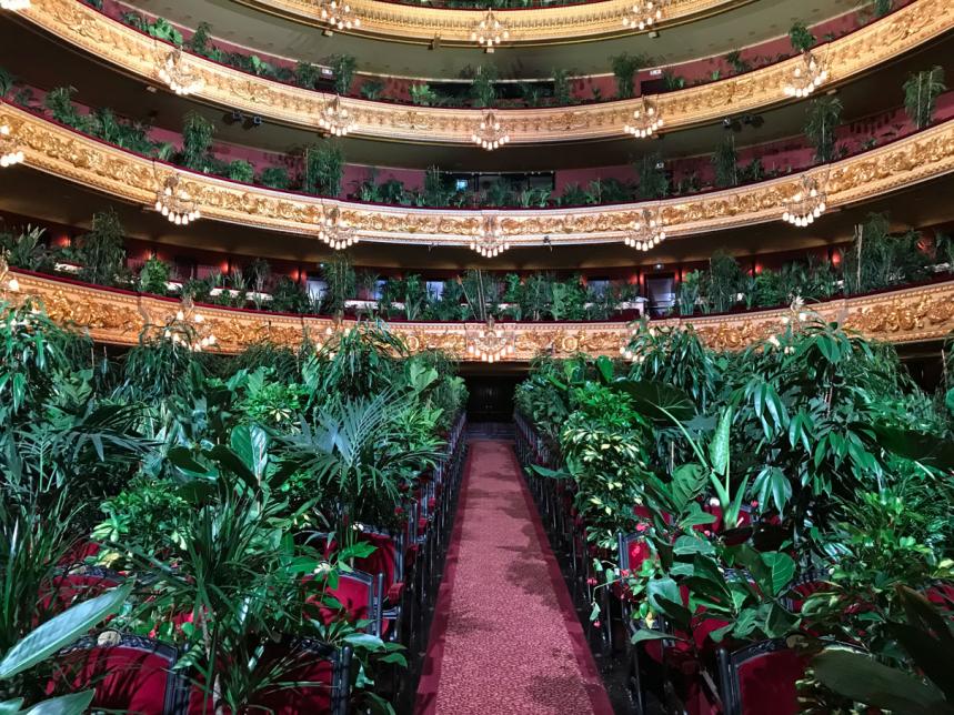 teatro liceau piante