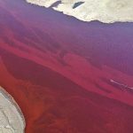 fiume rosso petrolio