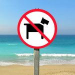 no cani spiaggia