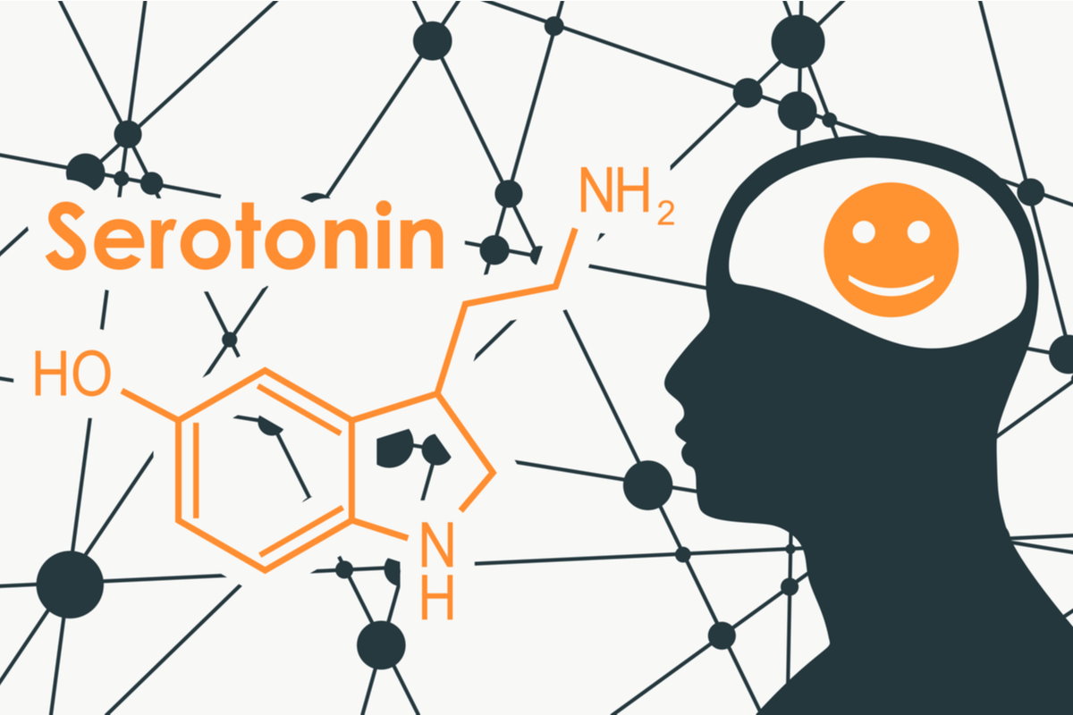 serotonina cover