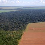 soia deforestazione amazzonia brasile
