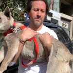 Beirut rescue team Animals Lebanon