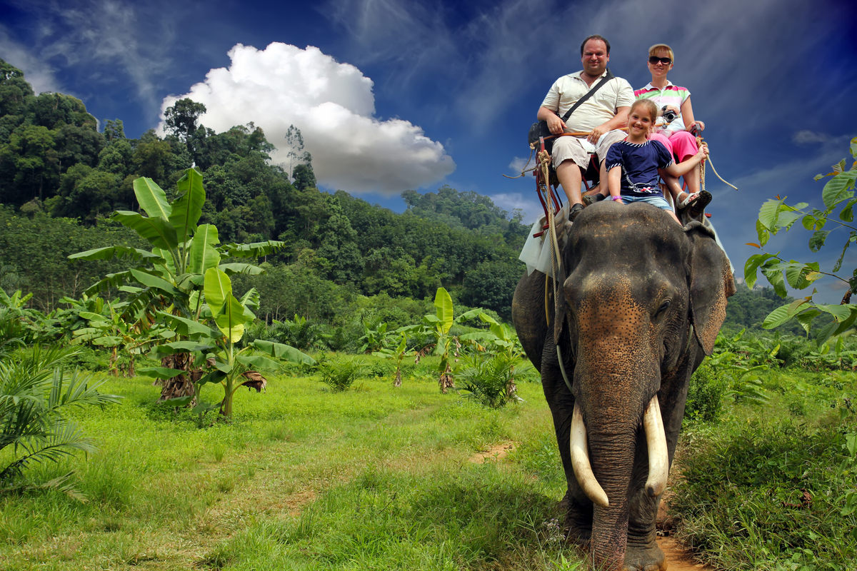 elefanti-turismo