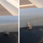 piccione sull'aereo