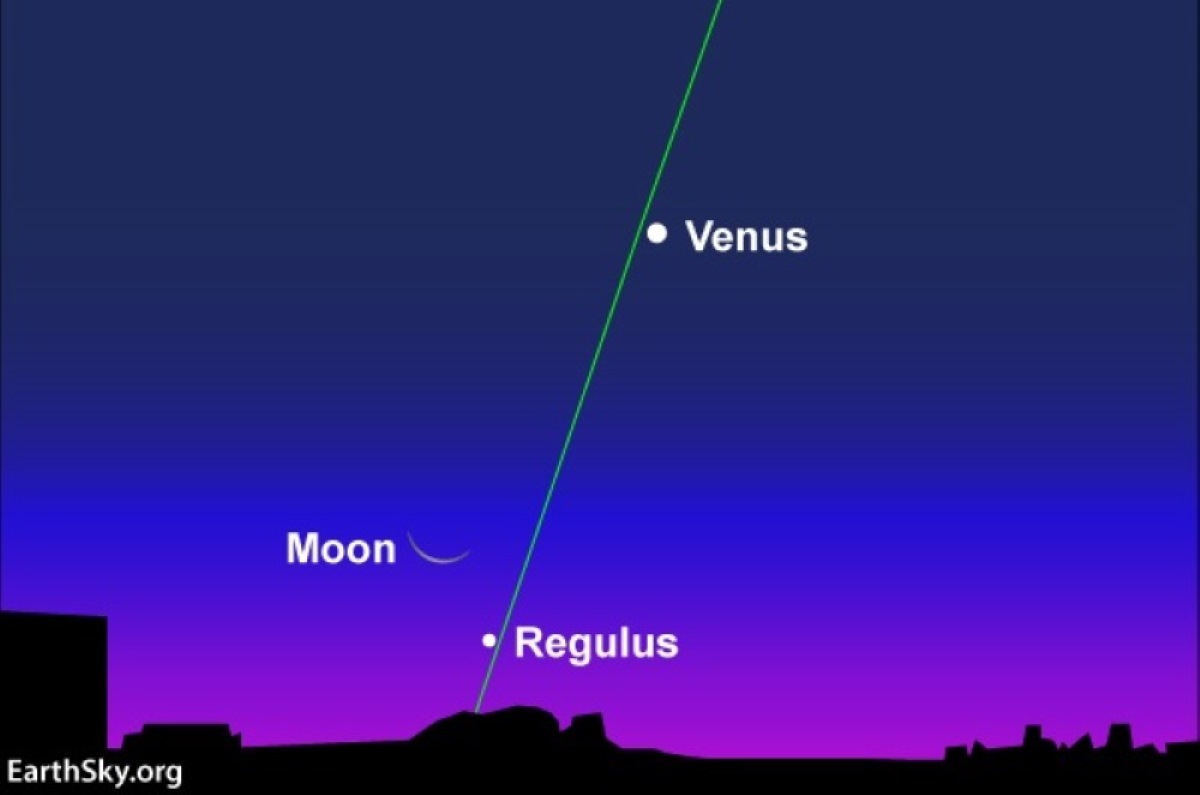 East-Venus-Regulus-Sept-15