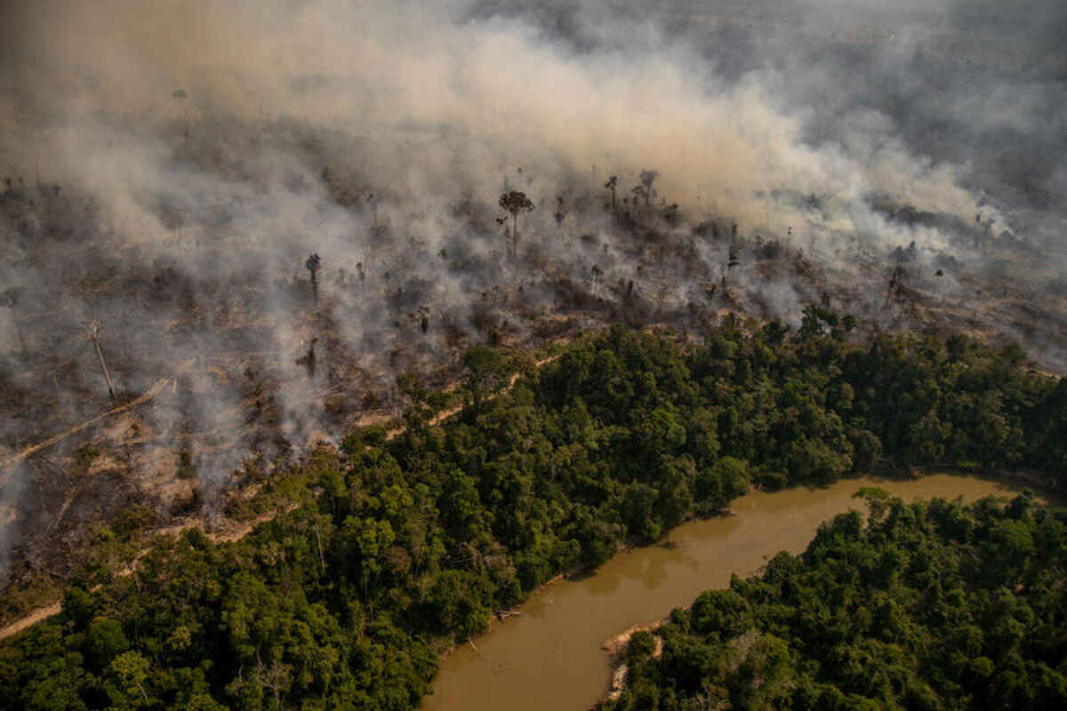 amazzonia incendi