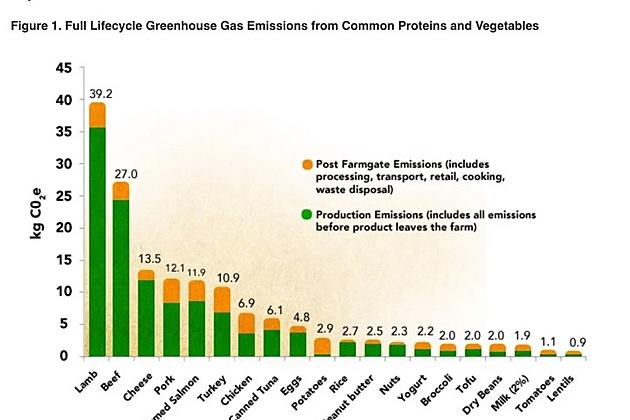 Proteine ed emissioni
