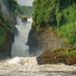 cascate murchison uganda