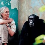 infanzia di Jane Goodall