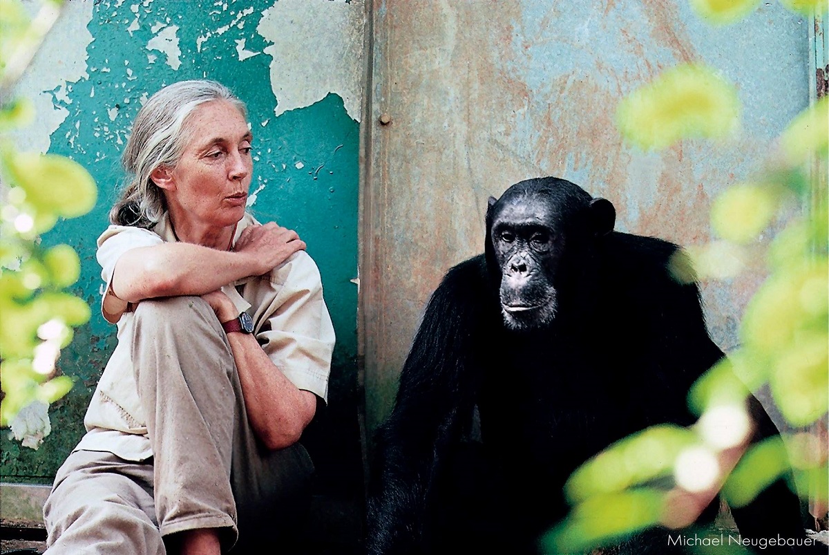 infanzia di Jane Goodall