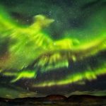 fenice aurora boreale