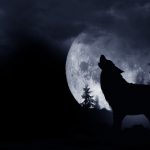 luna piena del lupo
