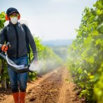 pesticidi europa