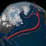 corrente del golfo rallentamento
