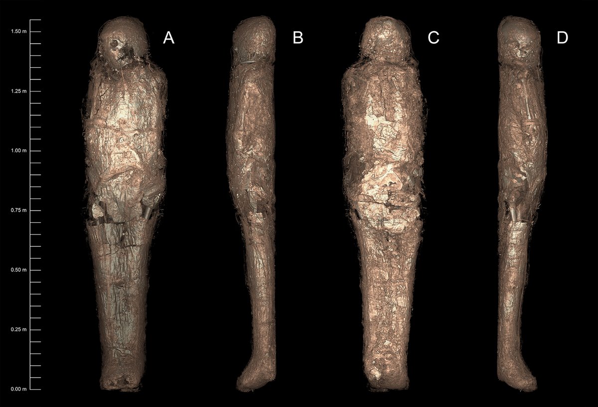 mummia2
