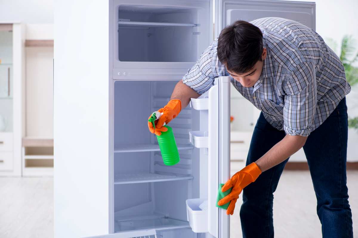 Come pulire le guarnizioni del frigorifero: trucchi, consigli e perché  dovresti farlo più spesso - greenMe