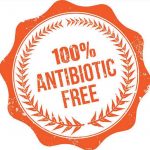 antibiotic free