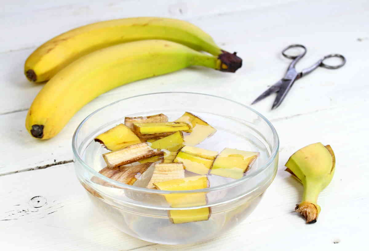 banane fertilizzante acqua