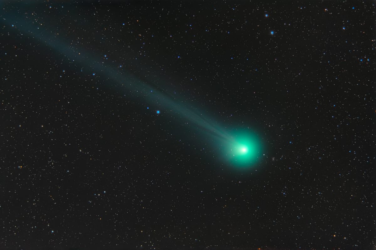 cometa leonard