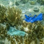 mascherine inquinamento barriera corallina