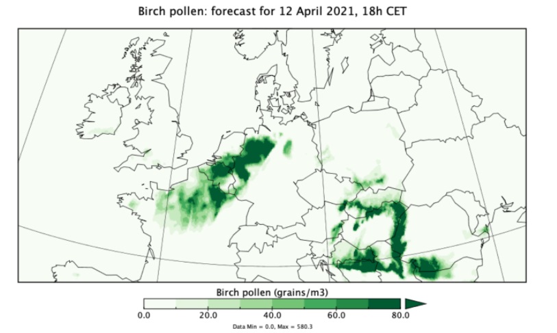 previsione concentrazione pollini atmosfera copernicus