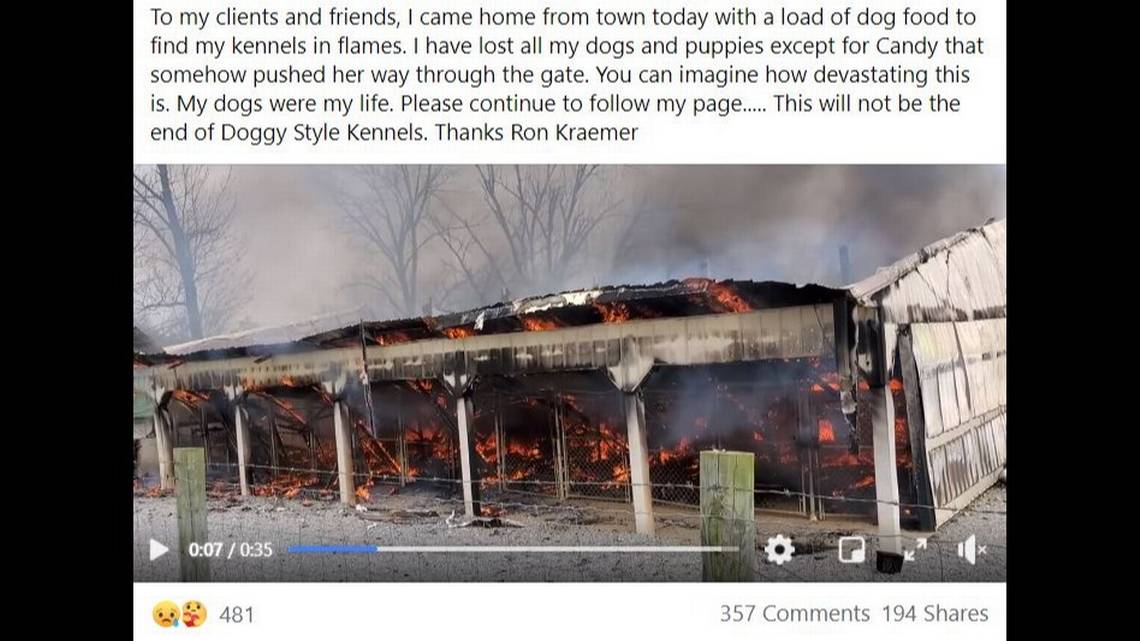 incendio allevamento labrador Kentucky 