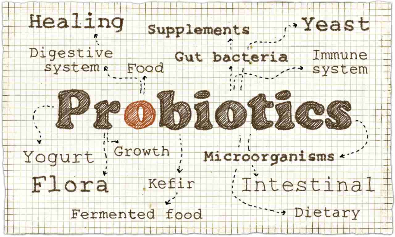 probiotici benefici polmoni