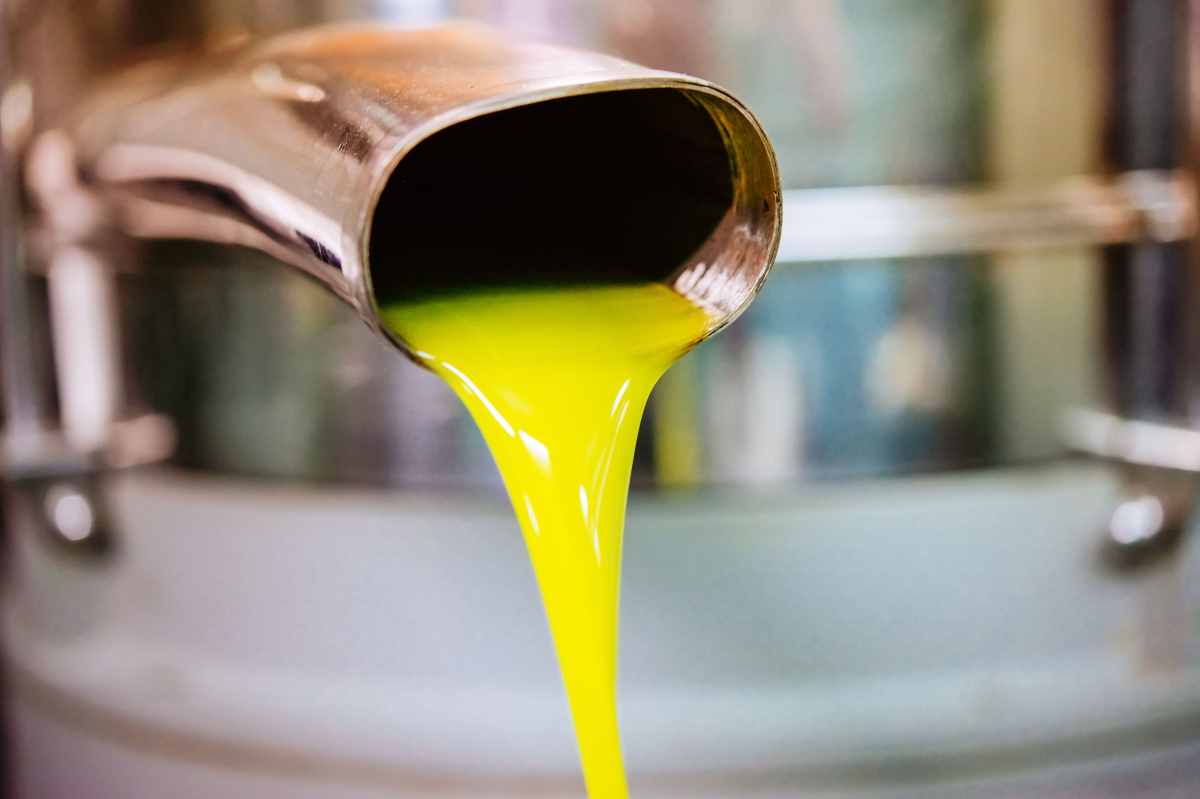 olio d'oliva contraffatto