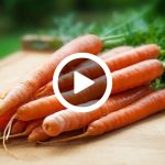 fertilizzante naturale carota