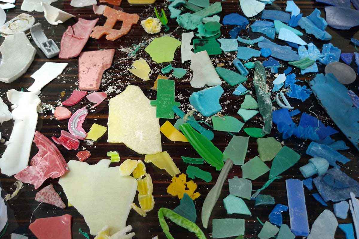 Plastica trovata nelle Galapagos