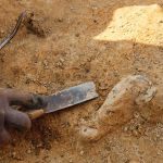 archeologo scava piccola pompei verona
