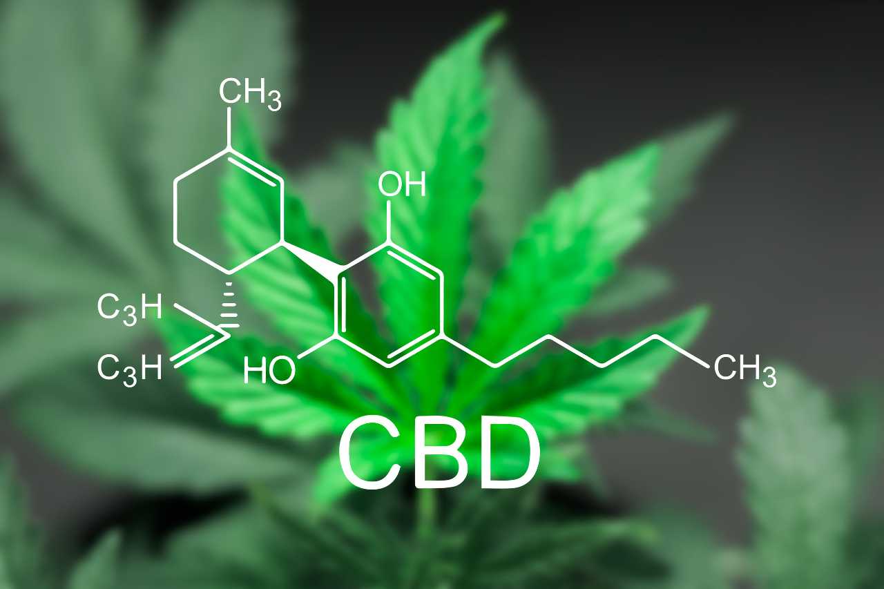 Cannabis: ecco quanto durano gli effetti di alterazione del THC sul corpo  secondo gli scienziati - greenMe