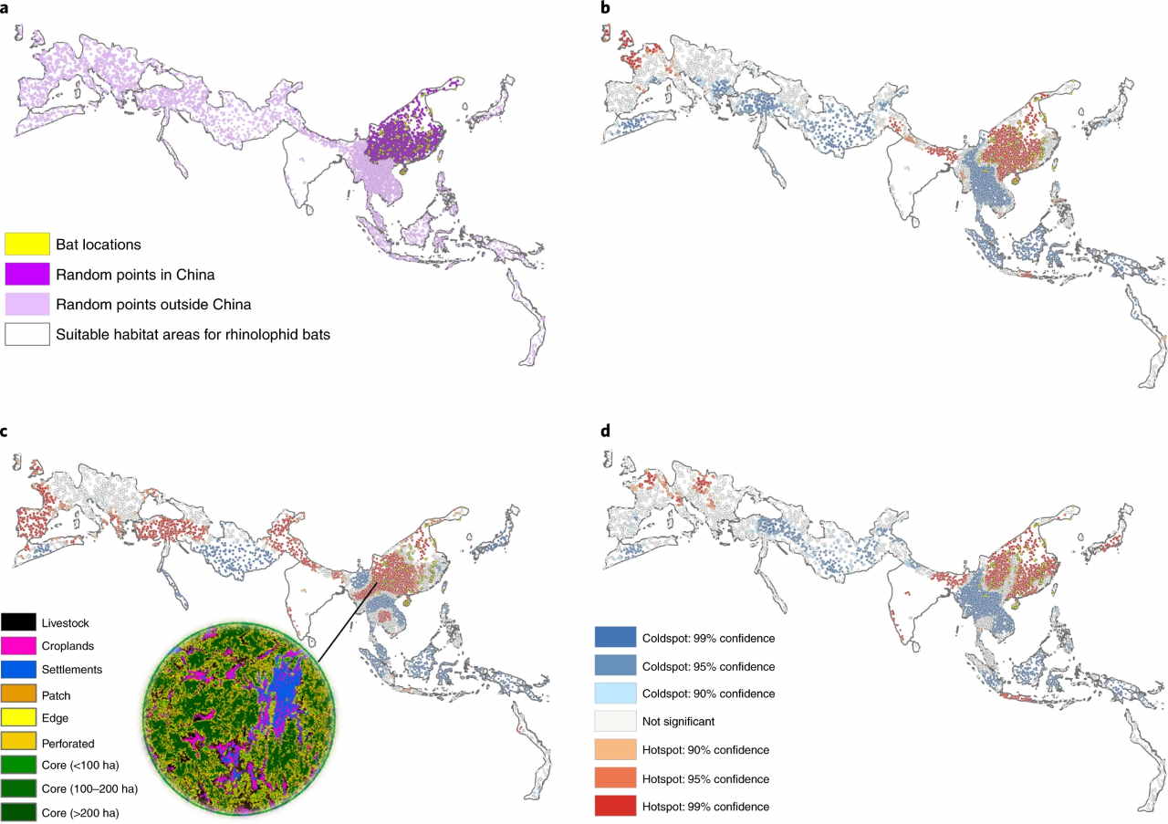 deforestazione pandemie coronavirus zone a rischio