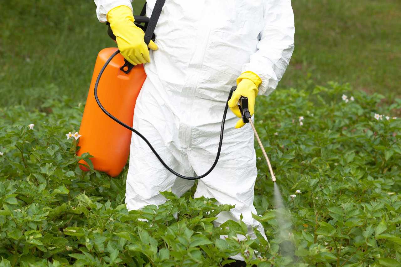 Você sabe quantos pesticidas são vendidos na Itália?  A figura surpreendente