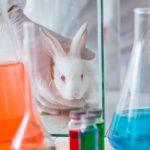 test animali laboratorio pesticidi