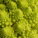 Broccolo romanesco frattali
