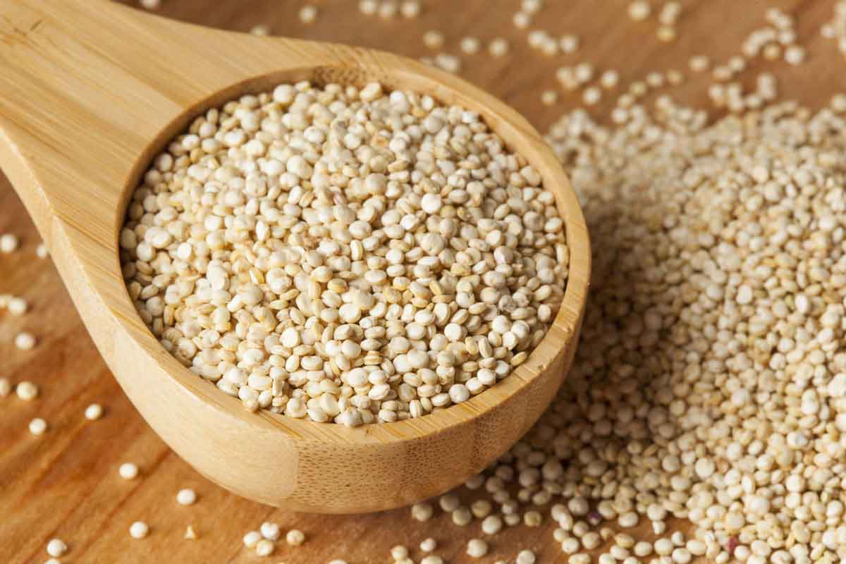 quinoa, i semi del benessere