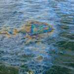 batteri che biodegradano sversamento petrolio diesel