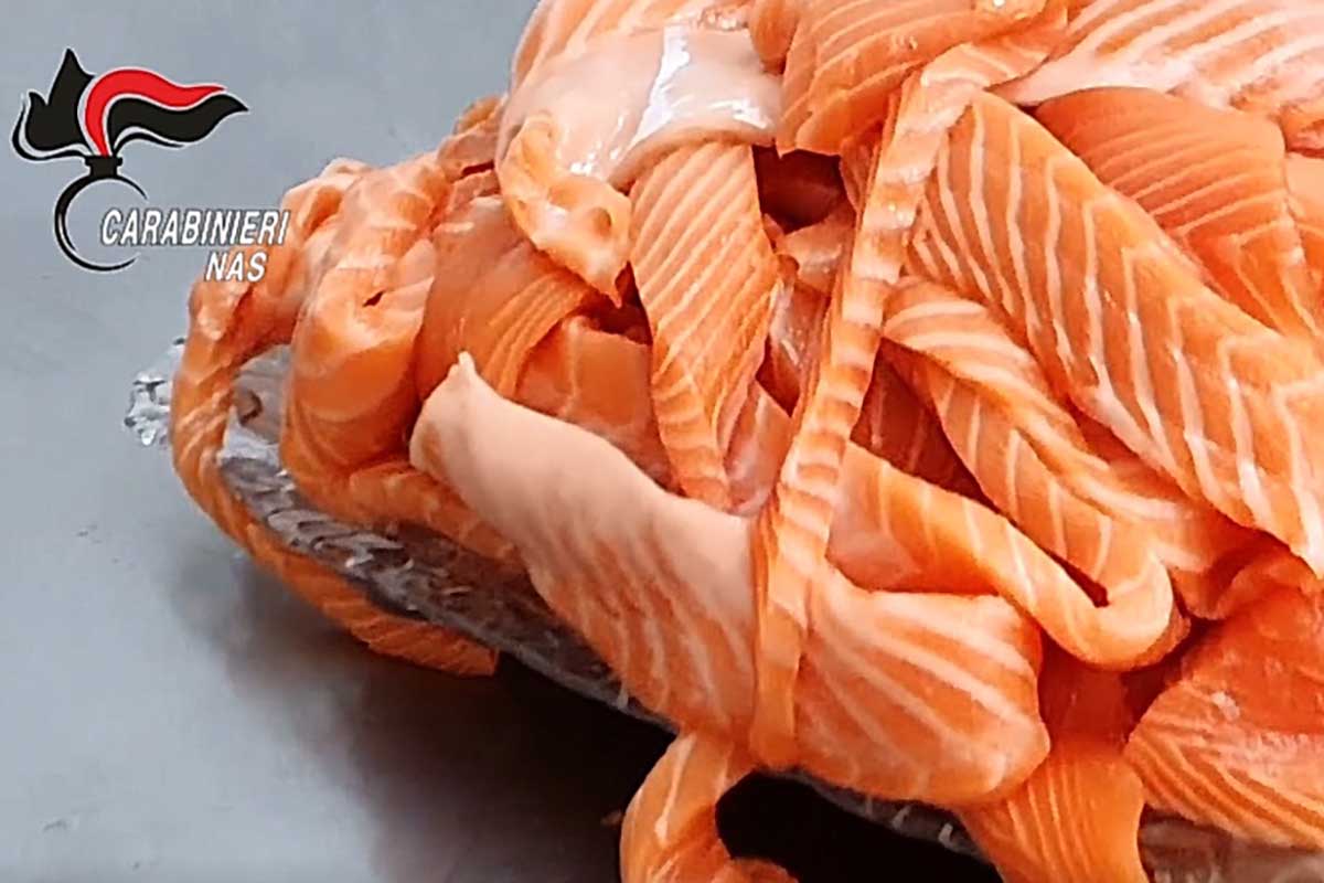 sequestro salmone pesche sushi nas