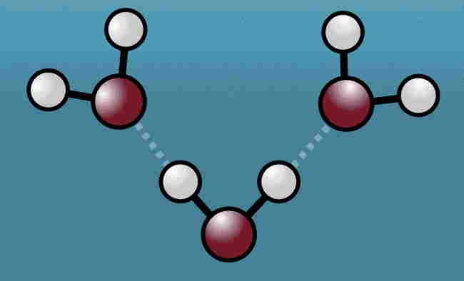 legami idrogeno acqua