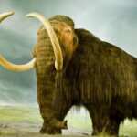 risurrezione mammut
