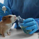 test animali laboratorio