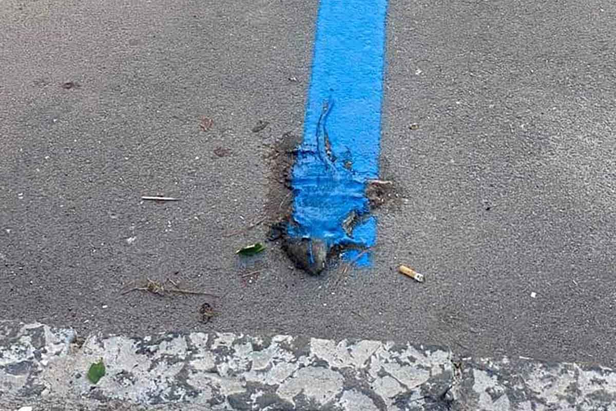 topo morto dipinto strisce blu