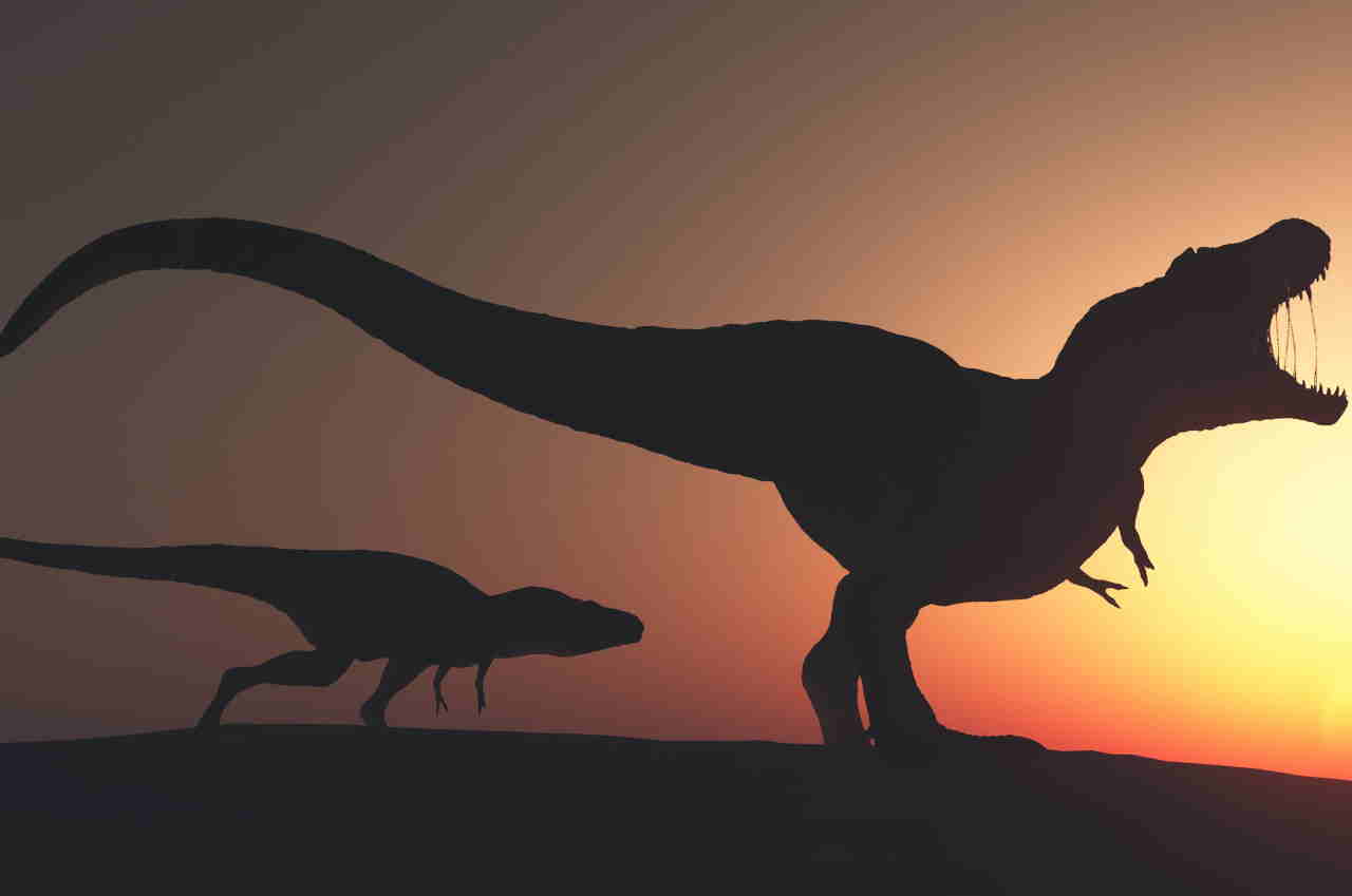 dinosauri in branchi 193 milioni di anni fa