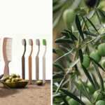 economia circolare oliva
