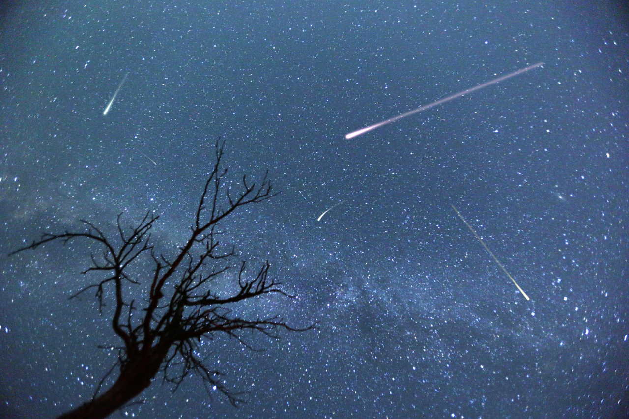 leonidi meteore 17 novembre 2021